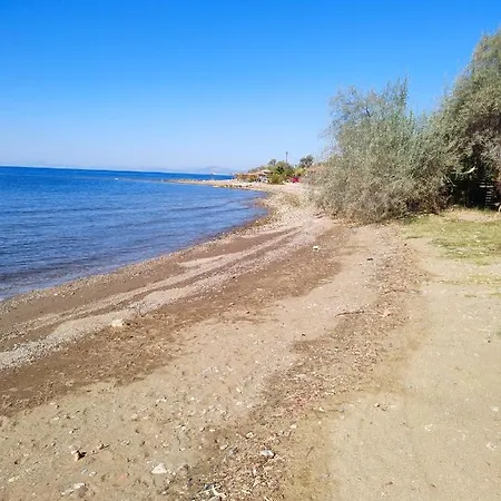 Erofili *