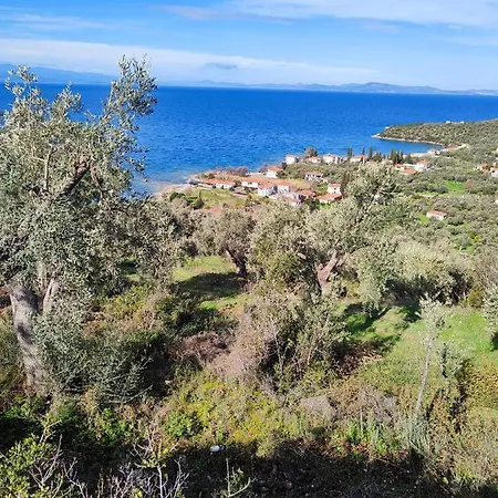 Erofili Kalamos (Thessaly)